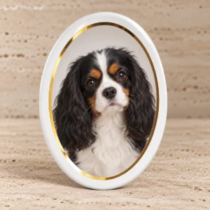 Fotoporzellan für Tiere Oval mit Goldrand – Charlie, stehend