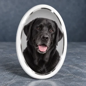 Fotoporzellan für Tiere Oval mit Silberrand – Bruno, stehend