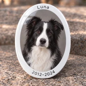 Glänzendes ovales Fotoporzellan mit Border-Collie-Porträt und Luna, 2012–2024 auf dem weißen Rand.